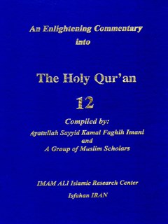 An Enlightening Commentary into the Light of the Holy Qur'an vol. 12